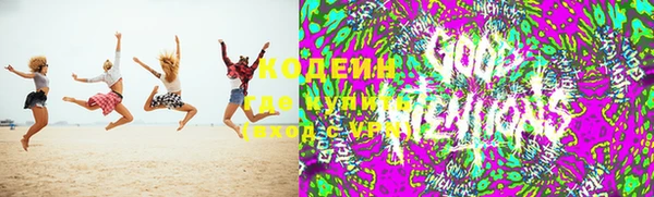 хмурый Алзамай