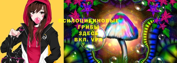 хмурый Алзамай