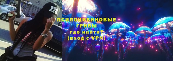 хмурый Алзамай